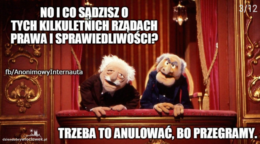 Memy po słowach posłanki PiS