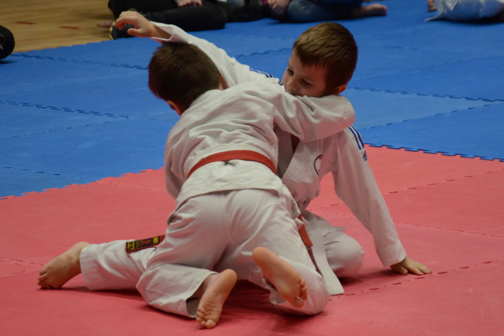 Dziecięcy turniej judo w hali OSiR