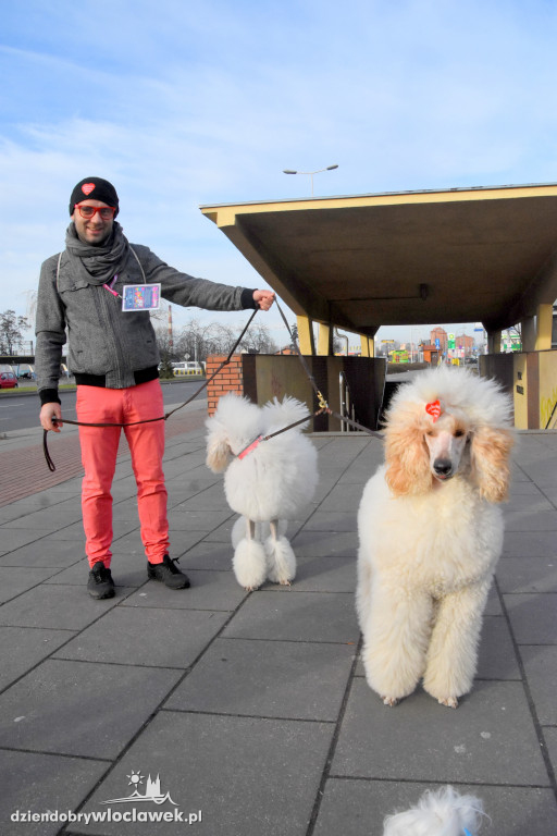 WOŚP 2020: wolontariusze w akcji