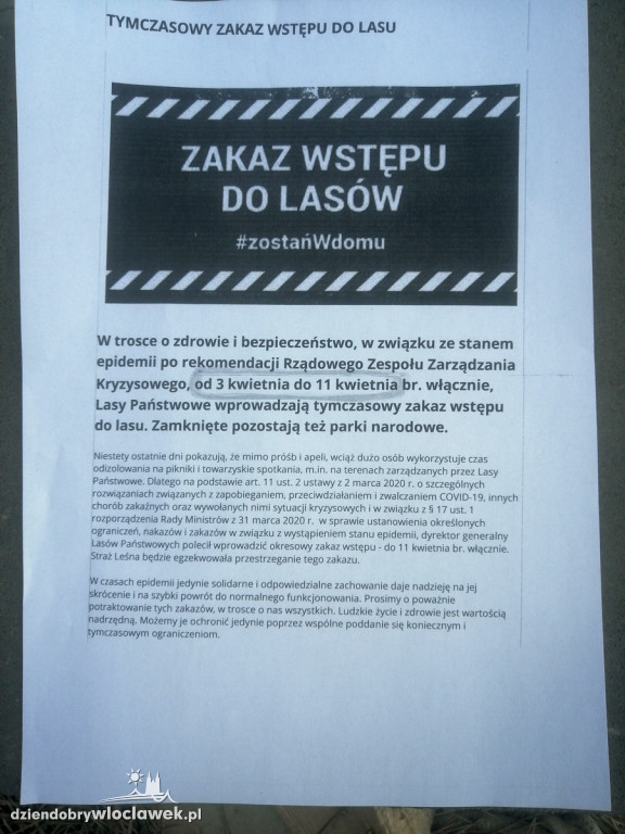 Policjanci patrolowali lasy, plaże i parki