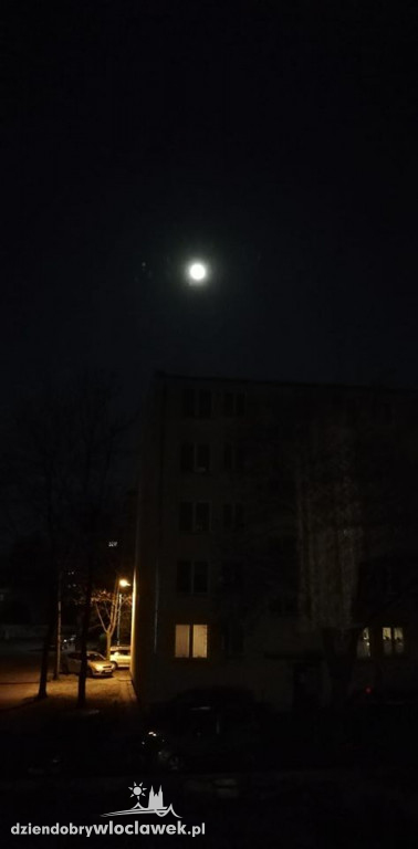 Różowy księżyc oczami internautów