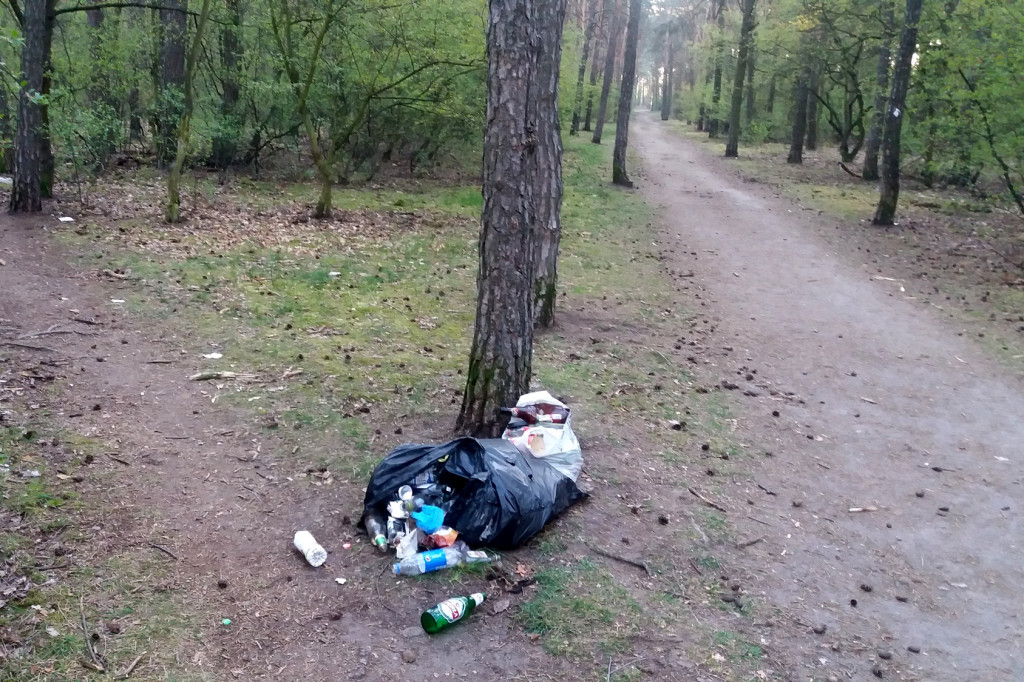 Las na Zazamczu tonie w śmieciach