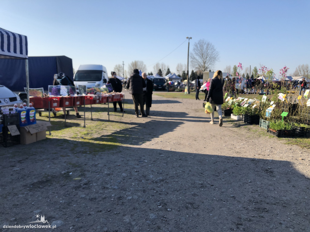 Pchli targ znowu otwarty dla kupujących