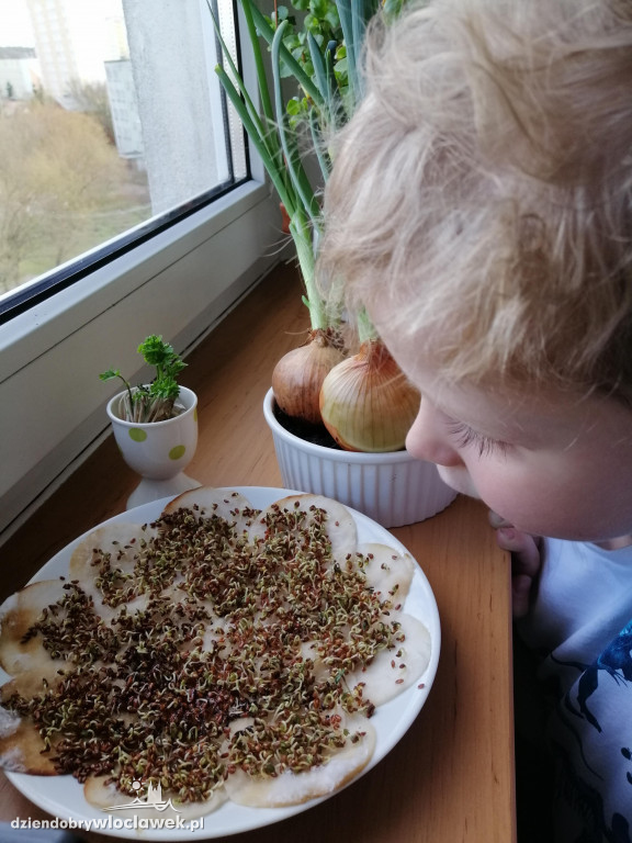 Zdalne nauczanie w Tęczowej Wyspie w PP nr 30