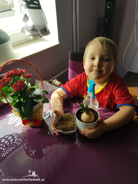 Zdalne nauczanie w Tęczowej Wyspie w PP nr 30