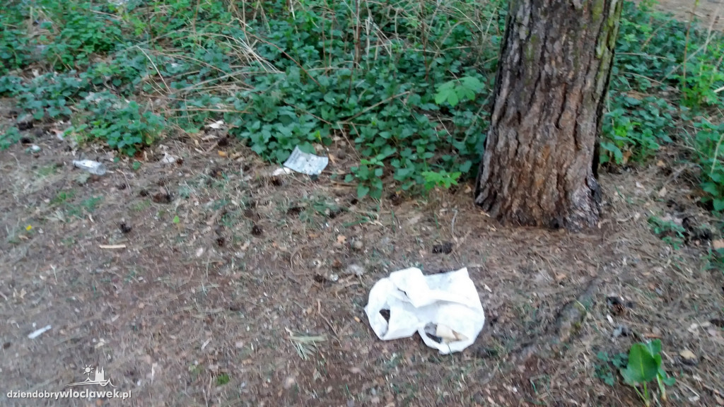 Las na Zazamczu tonie w śmieciach