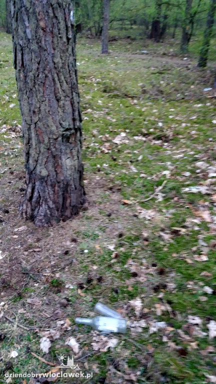 Las na Zazamczu tonie w śmieciach