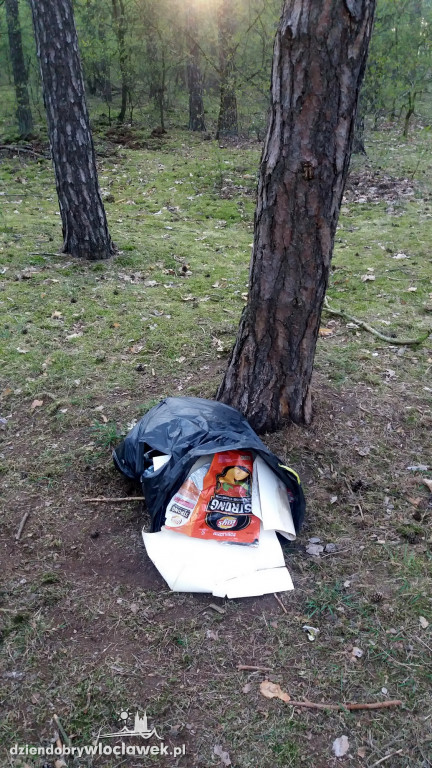 Las na Zazamczu tonie w śmieciach