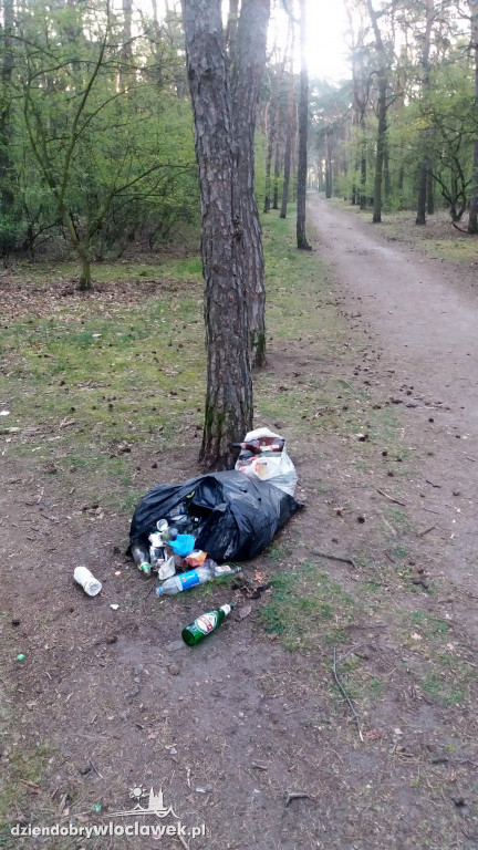 Las na Zazamczu tonie w śmieciach
