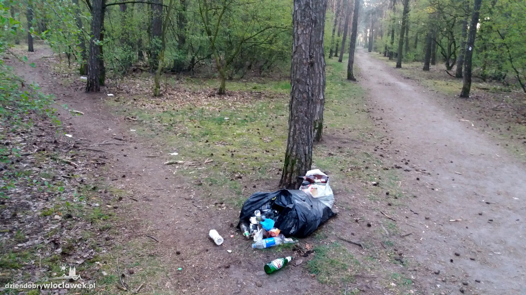Las na Zazamczu tonie w śmieciach