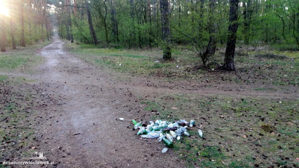 Las na Zazamczu tonie w śmieciach