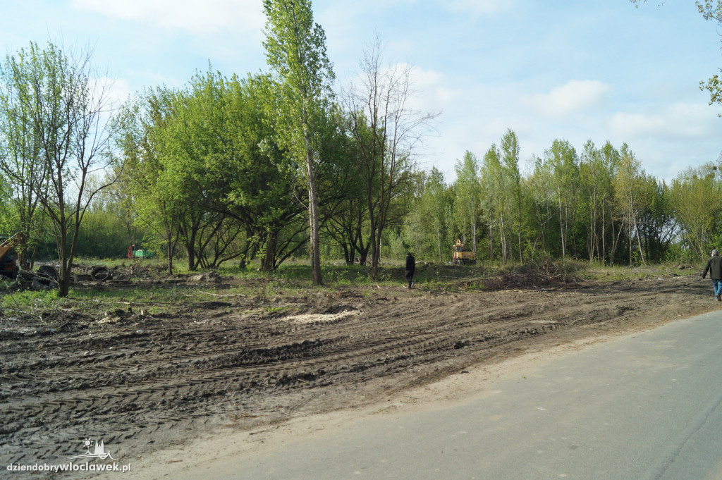 Wycinka drzew na ul. Lisek