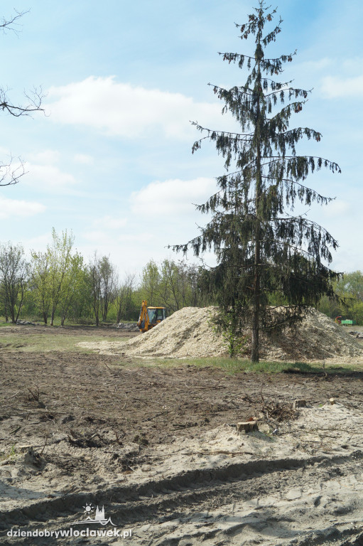 Wycinka drzew na ul. Lisek