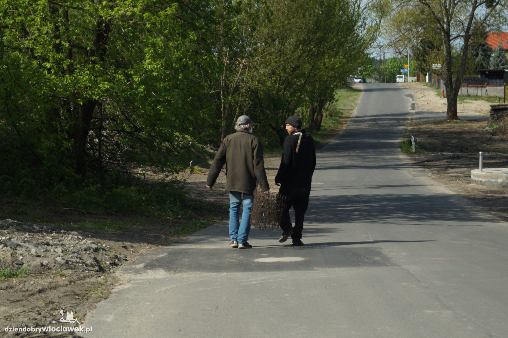 Wycinka drzew na ul. Lisek