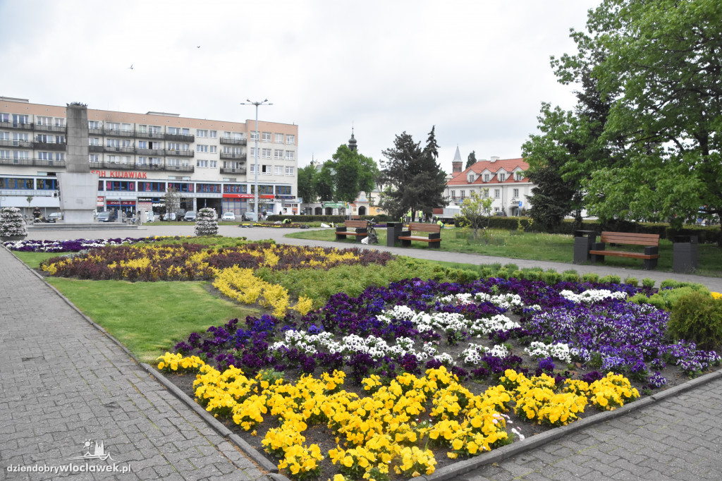 Wiosenne nasadzenia na pl. Wolności