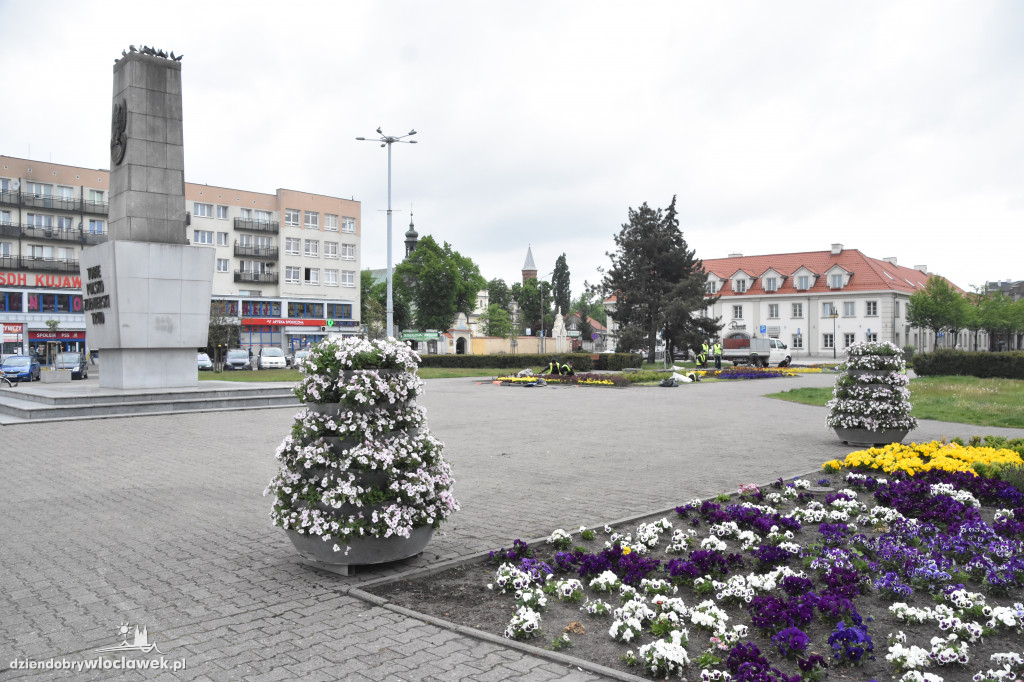 Wiosenne nasadzenia na pl. Wolności