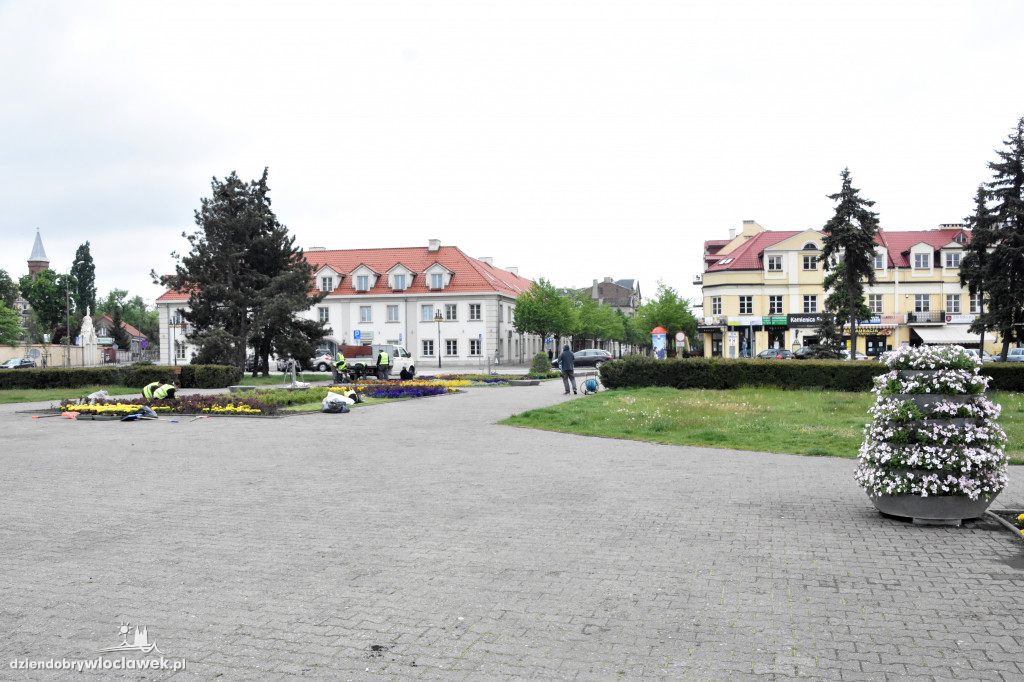 Wiosenne nasadzenia na pl. Wolności