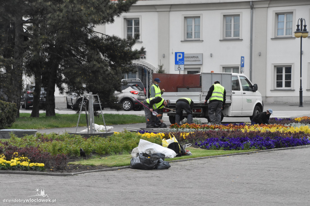 Wiosenne nasadzenia na pl. Wolności