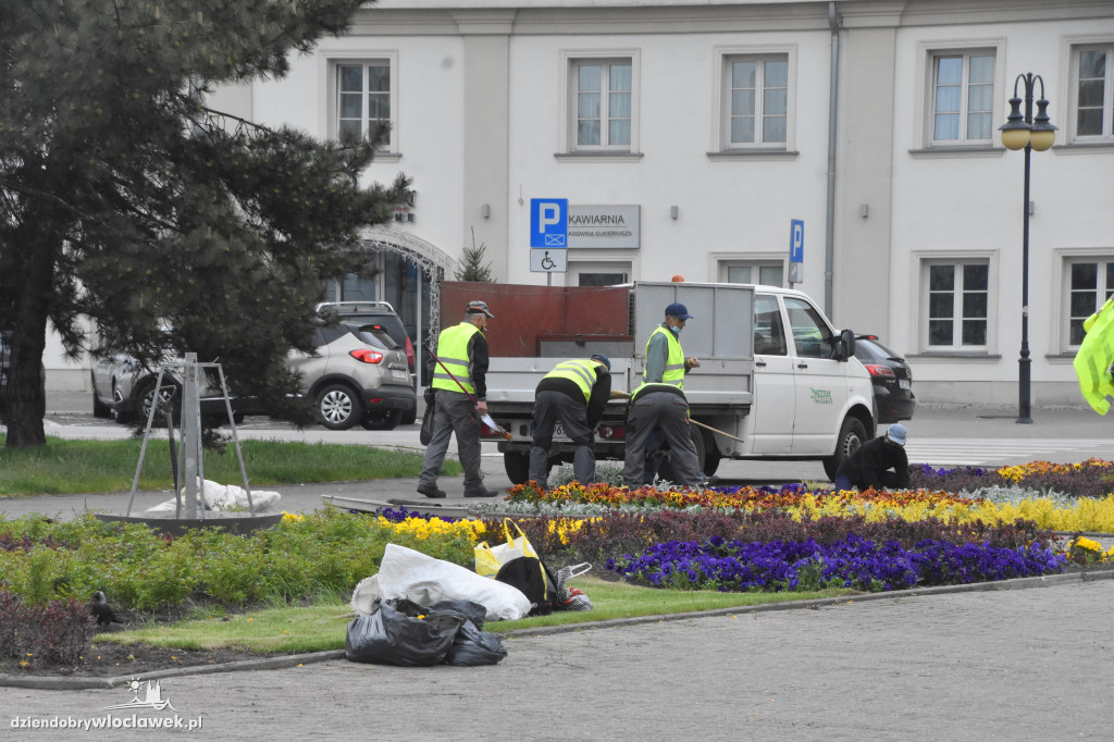Wiosenne nasadzenia na pl. Wolności