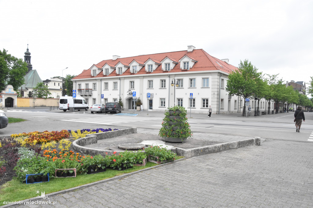 Wiosenne nasadzenia na pl. Wolności