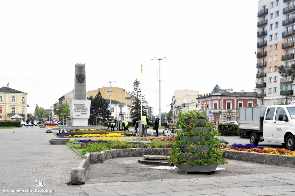 Wiosenne nasadzenia na pl. Wolności