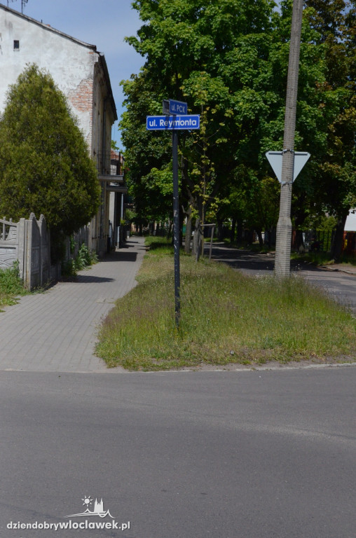Pasy drogowe we Włocławku toną w kwieciu