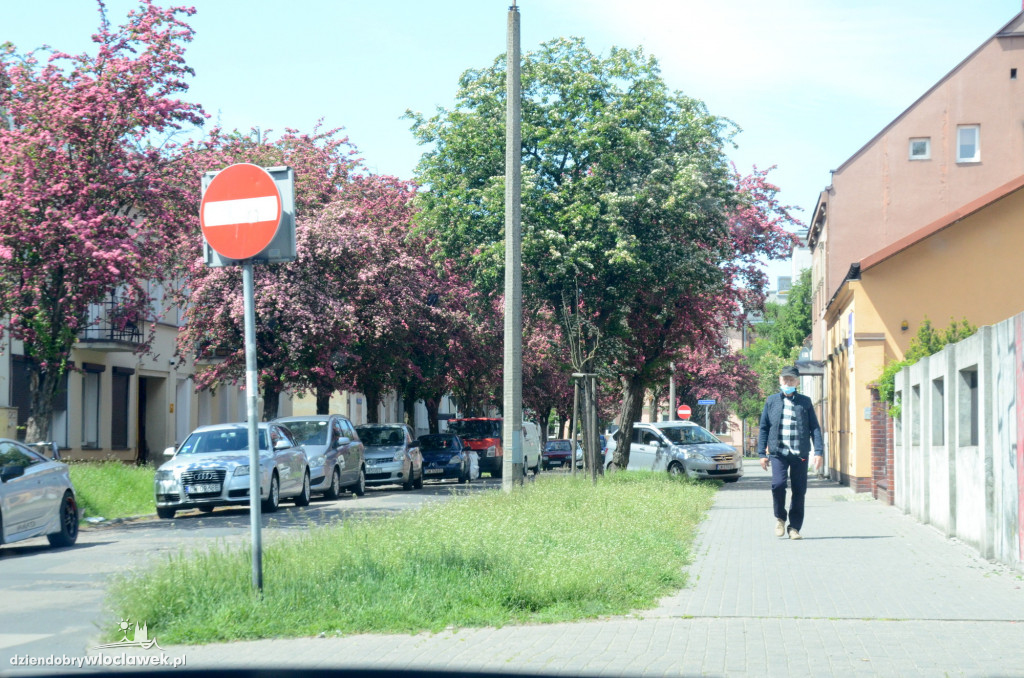 Pasy drogowe we Włocławku toną w kwieciu