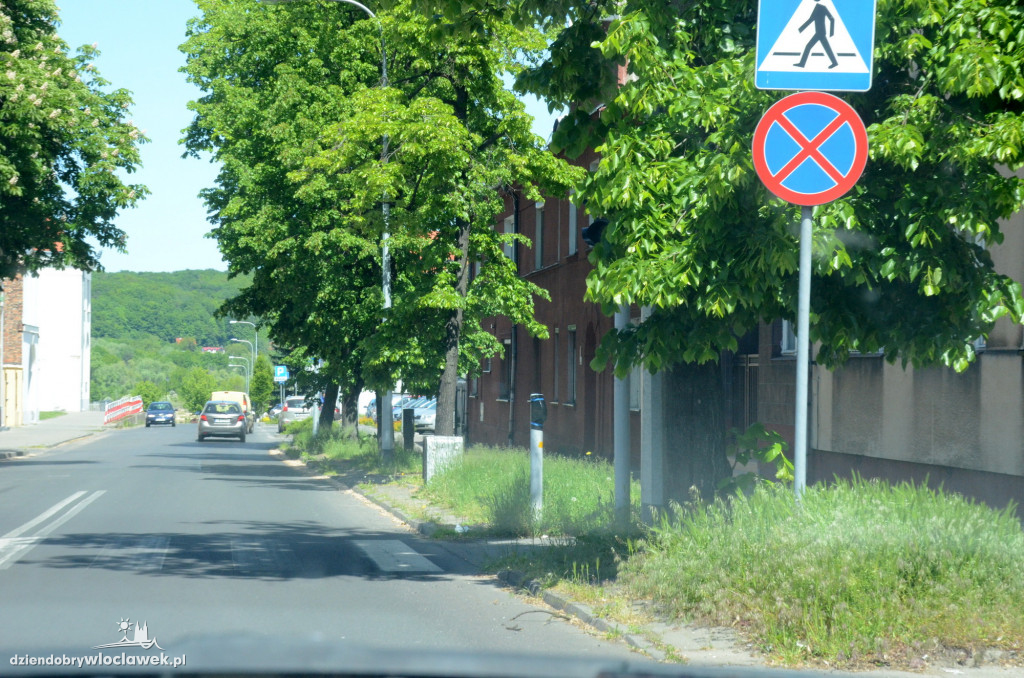 Pasy drogowe we Włocławku toną w kwieciu