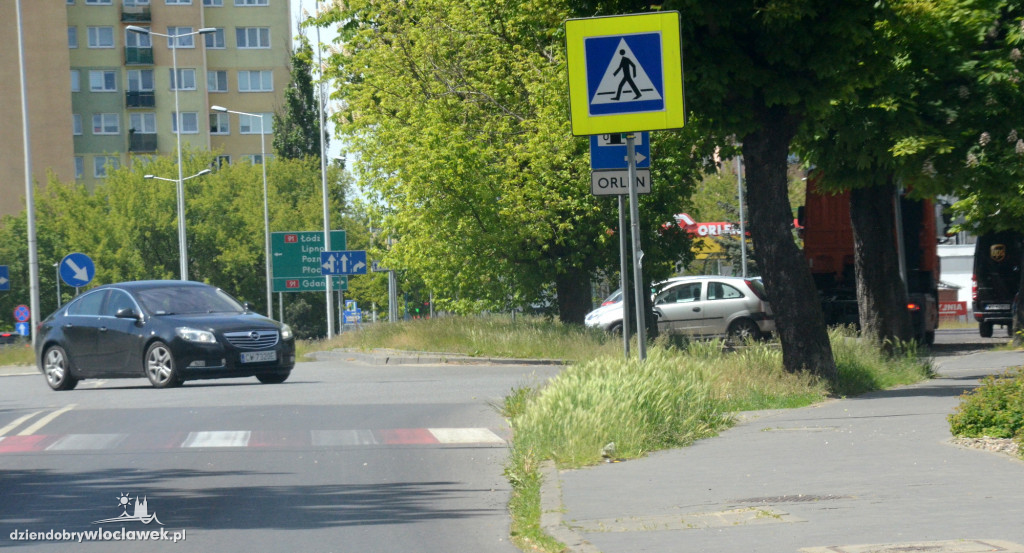 Pasy drogowe we Włocławku toną w kwieciu