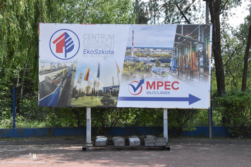 Przed siedzibą MPEC pszczoły produkują miód