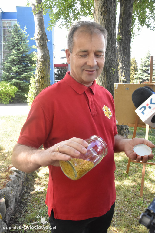 Przed siedzibą MPEC pszczoły produkują miód