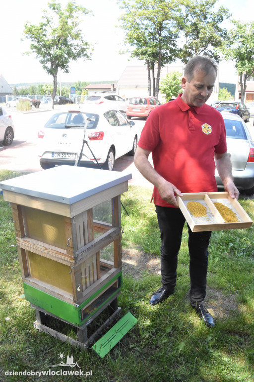 Przed siedzibą MPEC pszczoły produkują miód