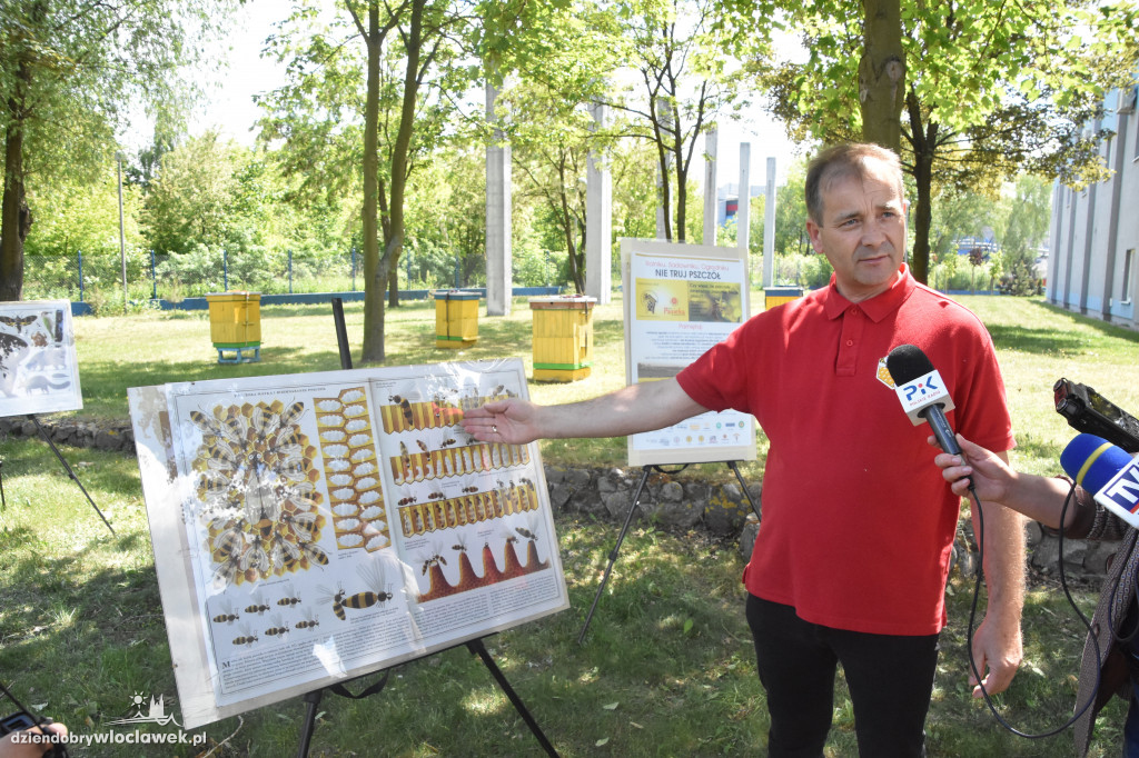 Przed siedzibą MPEC pszczoły produkują miód