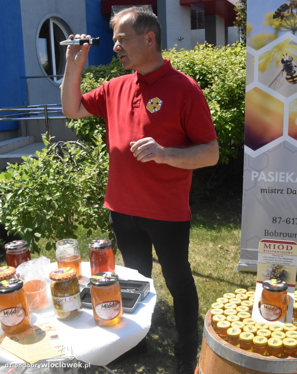 Przed siedzibą MPEC pszczoły produkują miód