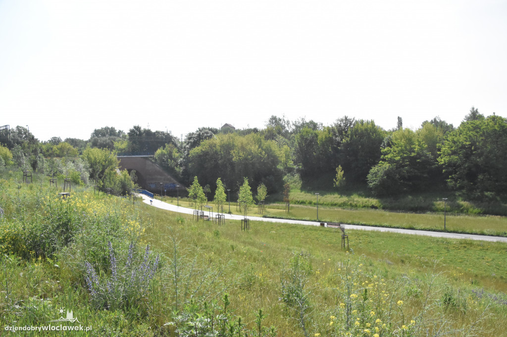Tak wygląda miejska pasieka