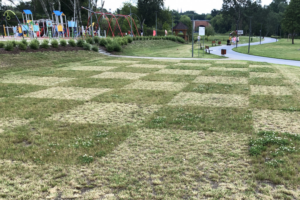 Szachownica na trawie w parku