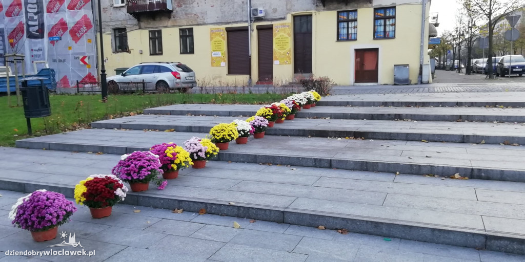 Miasto ozdobiły kwiaty nie sprzedane na 1.XI
