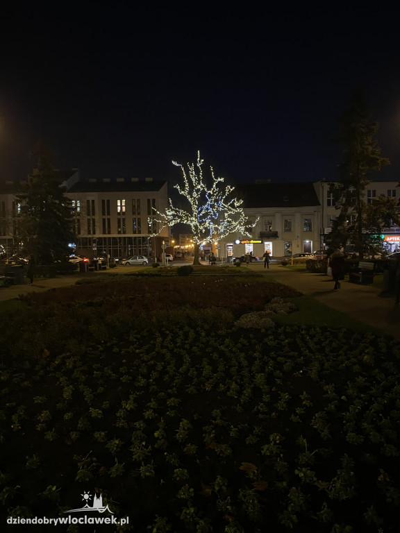 Pojawiły się świąteczne iluminacje