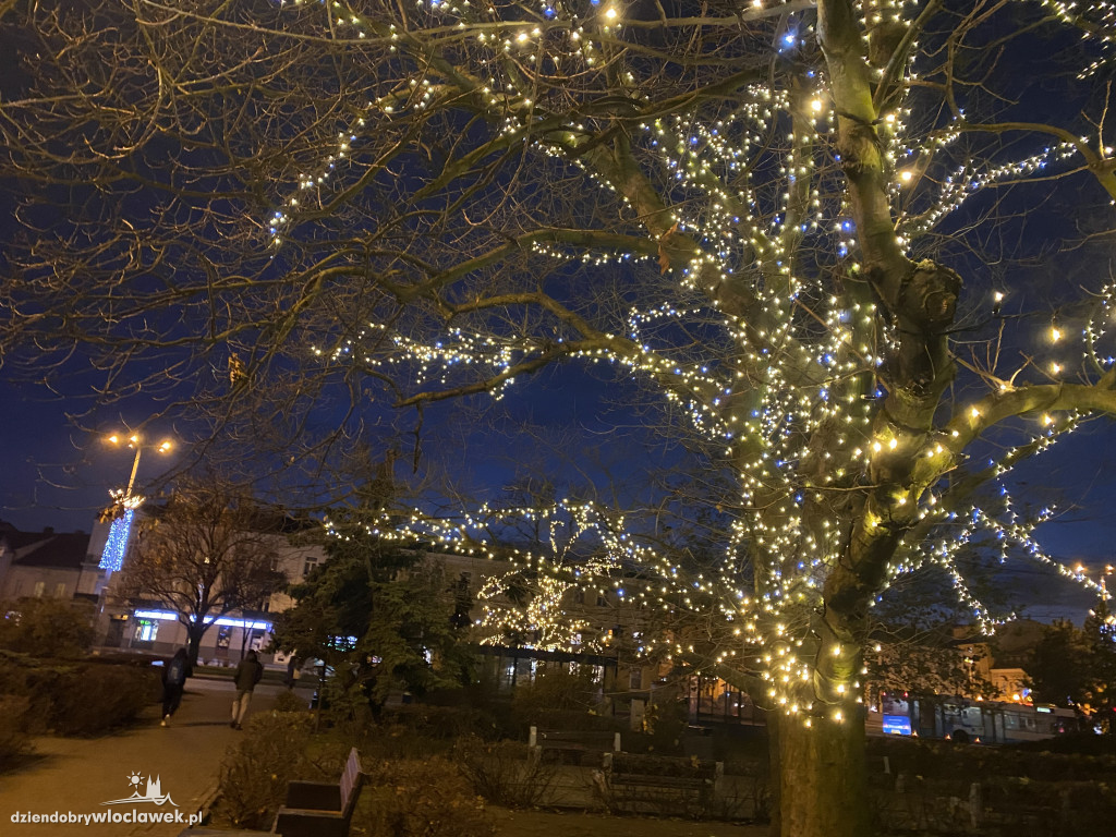 Pojawiły się świąteczne iluminacje