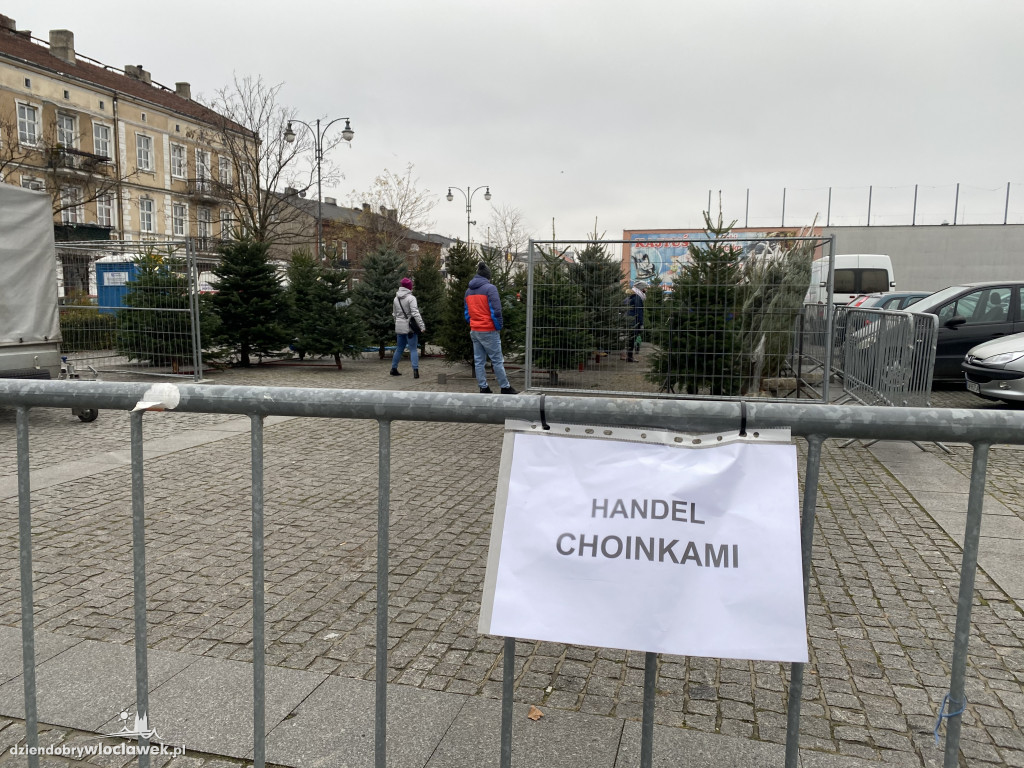 Ruszyła sprzedaż choinek na Zielonym Rynku