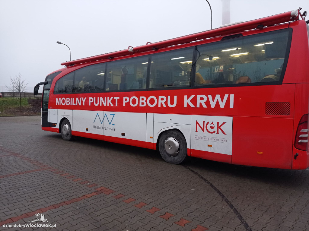 Choinka za krew dla Mariki. Akcja przy Wysokiej