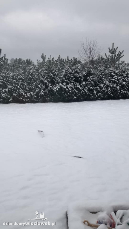 Zima we Włocławku. Zdjęcia Czytelników