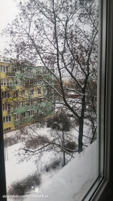 Zima we Włocławku. Zdjęcia Czytelników