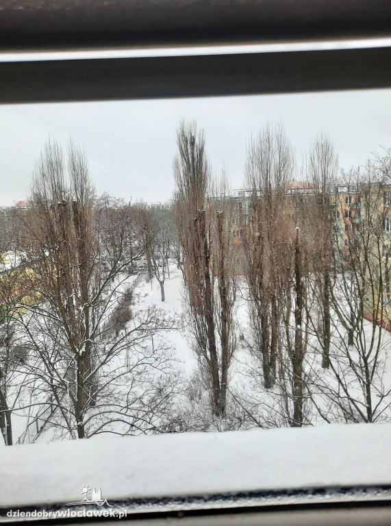 Zima we Włocławku. Zdjęcia Czytelników
