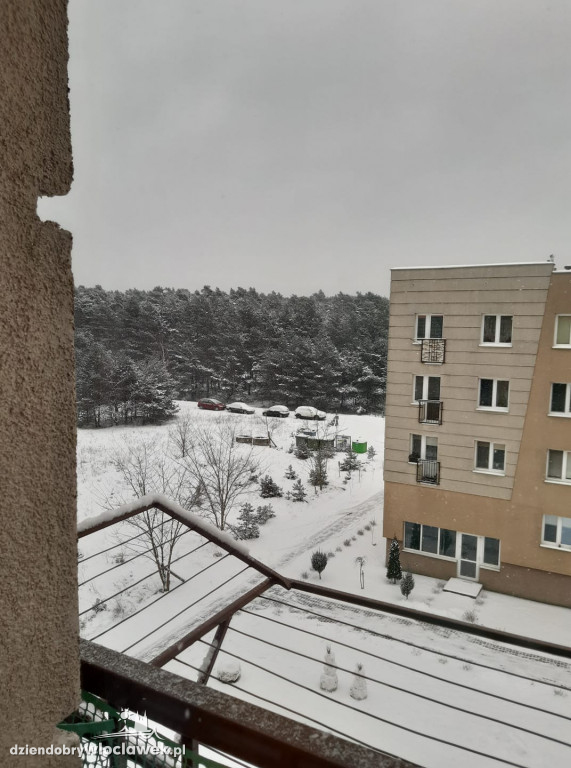 Zima we Włocławku. Zdjęcia Czytelników