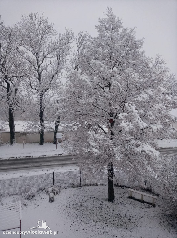 Zima we Włocławku. Zdjęcia Czytelników