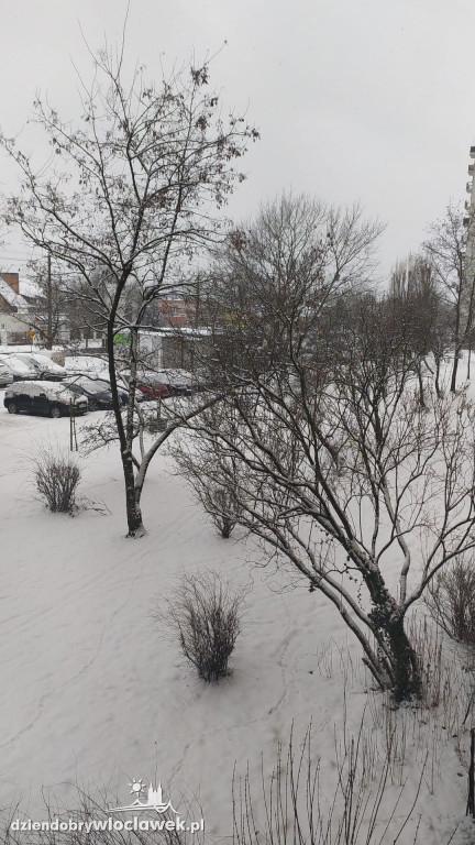 Zima we Włocławku. Zdjęcia Czytelników