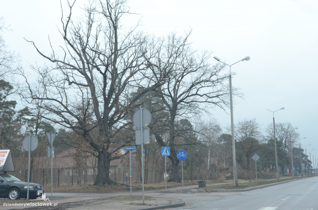 Przebudowa al. Jana Pawła II