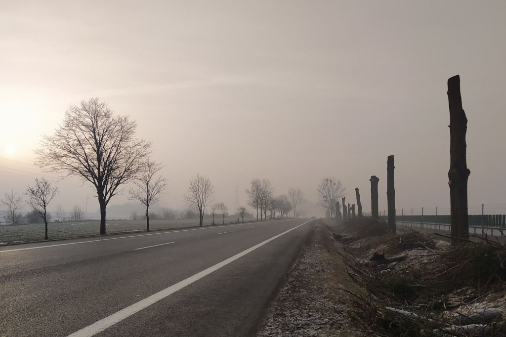 Wytną kilkadziesiąt drzew przy drodze krajowej
