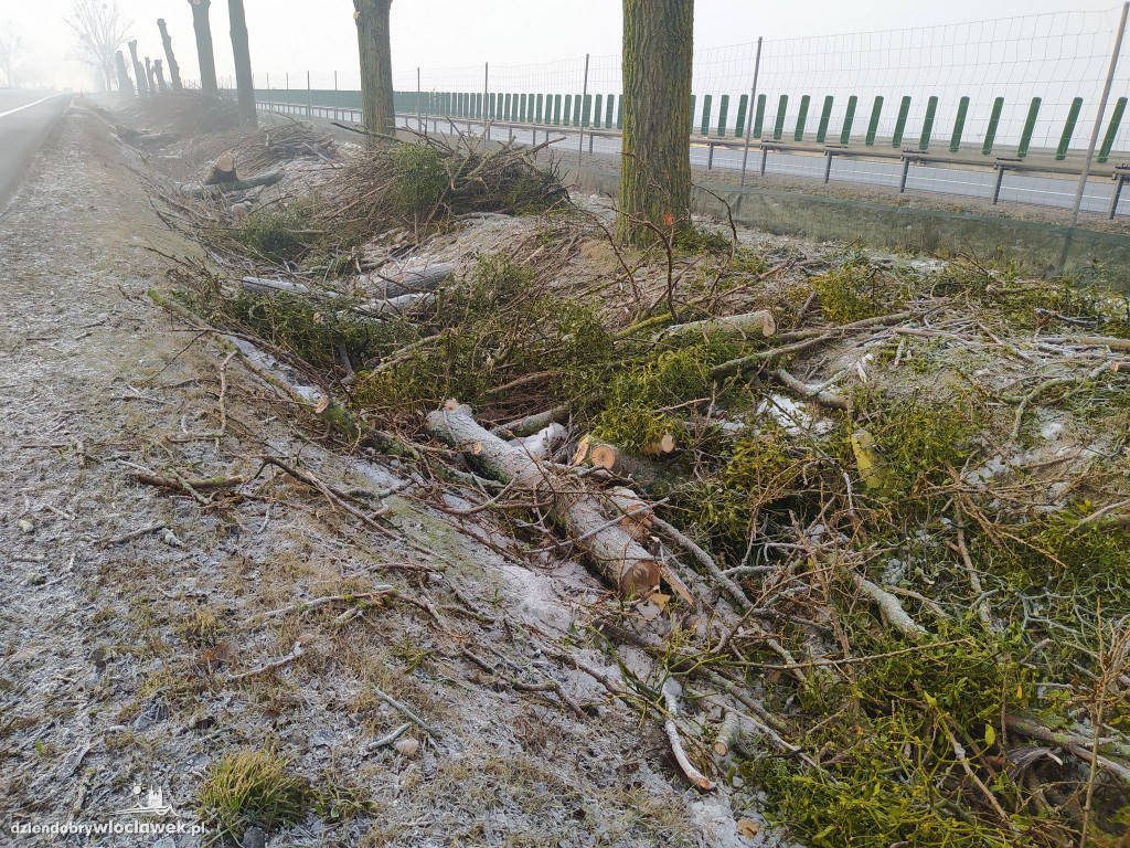 Wytną kilkadziesiąt drzew przy drodze krajowej